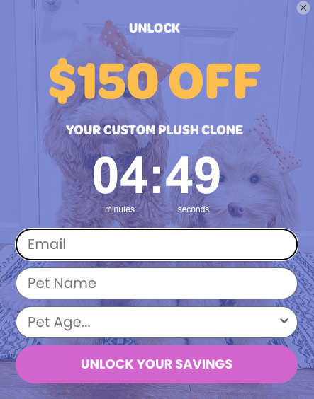 Discount popup email sign up form example with urgency