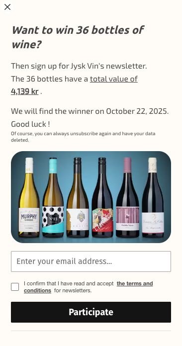 Newsletter popup email signup form example Jysk Vin