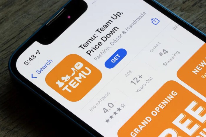 Temu từng gây được tiếng vang lớn khi ra mắt tại Mỹ. (Ảnh: Tech in Asia).